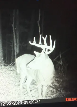 $295,200 | Ms-17, Coila, MS 38923