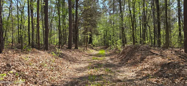 $295,200 | Ms-17, Coila, MS 38923