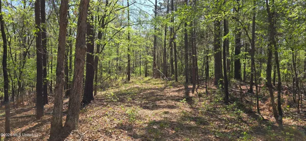 $295,200 | Ms-17, Coila, MS 38923