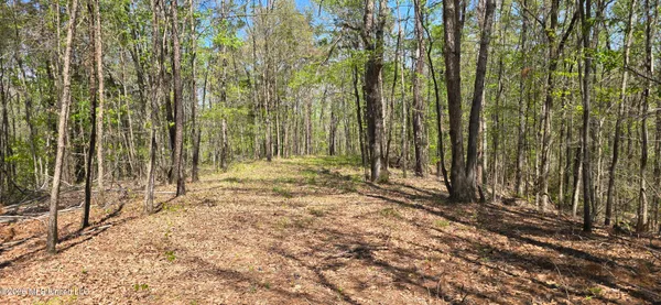 $295,200 | Ms-17, Coila, MS 38923