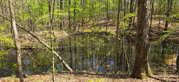 $295,200 | Ms-17, Coila, MS 38923