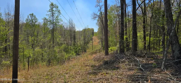 $295,200 | Ms-17, Coila, MS 38923