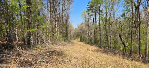 $295,200 | Ms-17, Coila, MS 38923