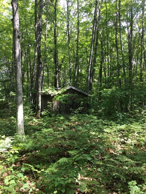 Tabitha Trail Mio, MI 48647 - Photo 7 of 22 Gallery Image 7