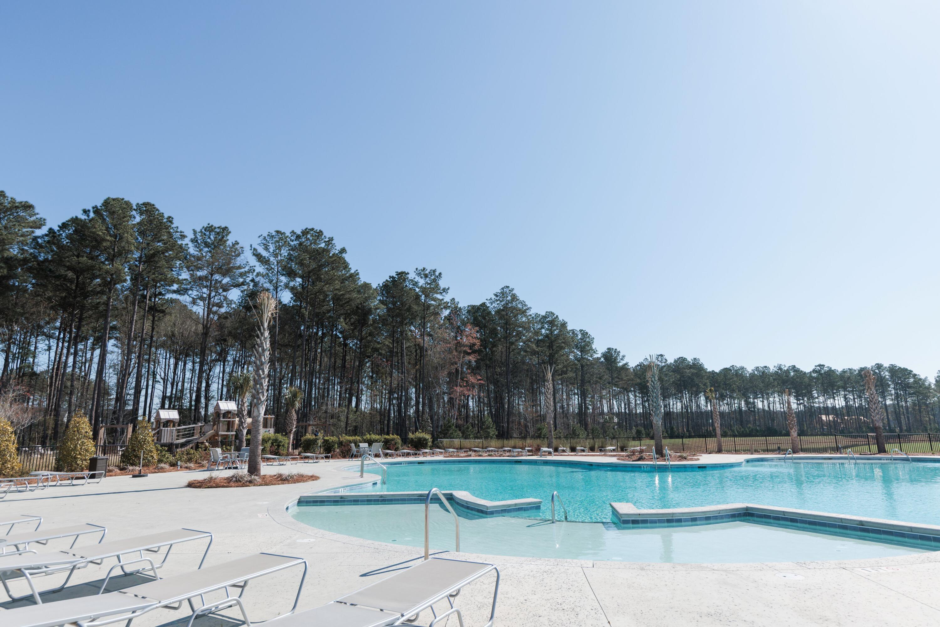 406 American Goldfinch Way Moncks Corner, SC 29461 - Photo 37 of 42 kid pool