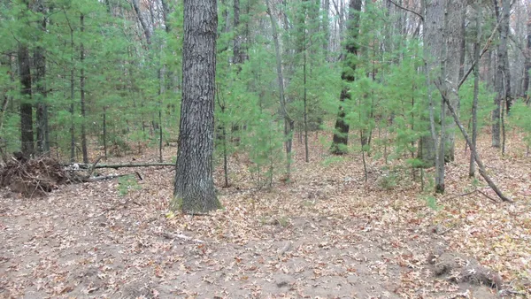 $64,900 | Lot 1 Herman Johnson Road, Siren, WI 54872