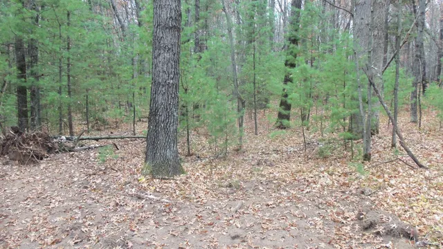 $64,900 | Lot 1 Herman Johnson Road, Siren, WI 54872