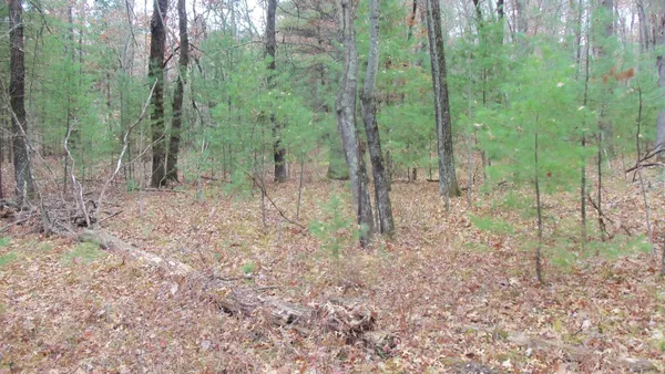 $64,900 | Lot 1 Herman Johnson Road, Siren, WI 54872