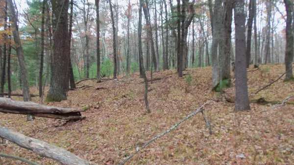 $64,900 | Lot 1 Herman Johnson Road, Siren, WI 54872