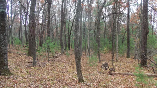 $64,900 | Lot 1 Herman Johnson Road, Siren, WI 54872