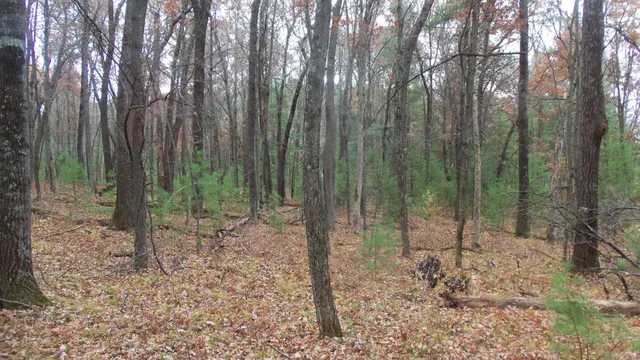 $64,900 | Lot 1 Herman Johnson Road, Siren, WI 54872