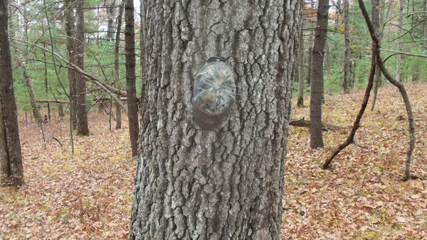 $64,900 | Lot 1 Herman Johnson Road, Siren, WI 54872