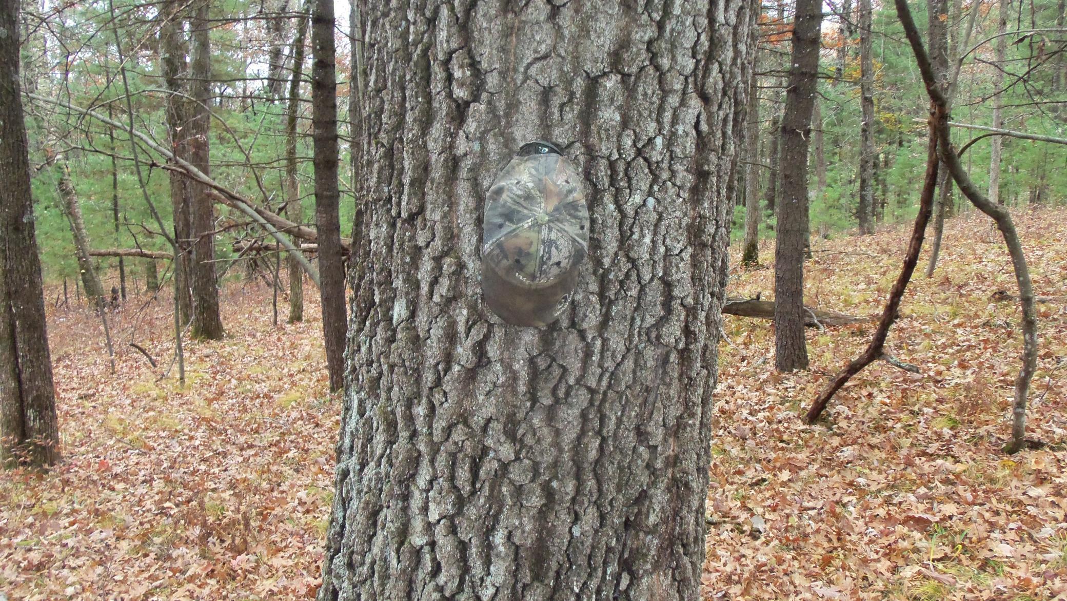Lot 1 Herman Johnson Road Siren, WI 54872 - Photo 8 of 9