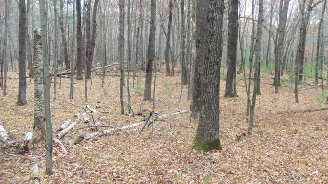 $64,900 | Lot 1 Herman Johnson Road, Siren, WI 54872