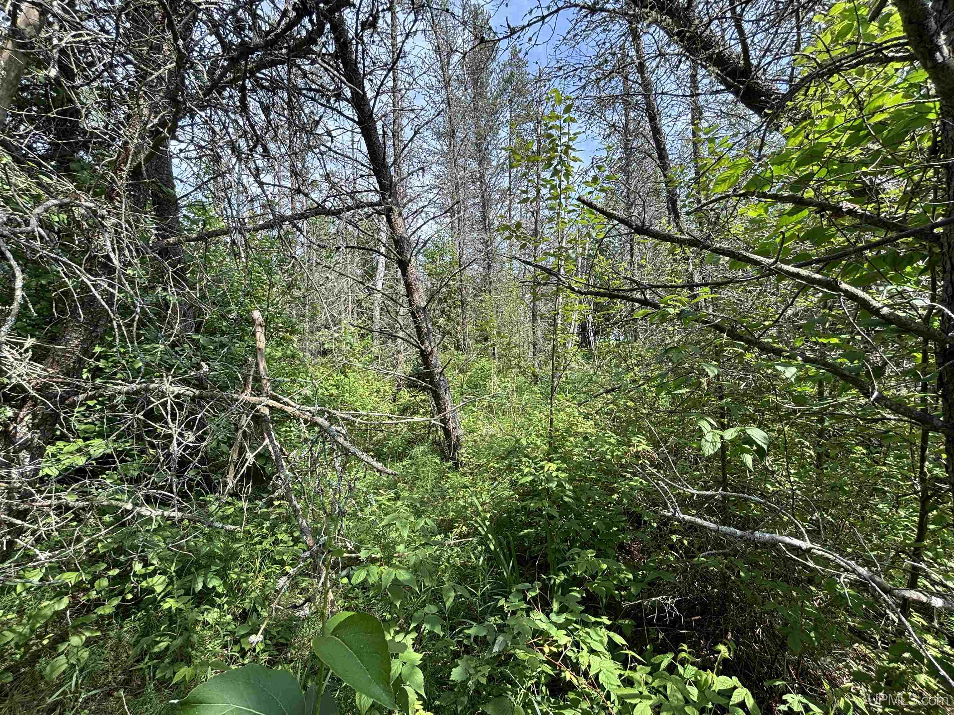Tbd West Beach Road Naubinway, MI 49762 - Photo 43 of 45
