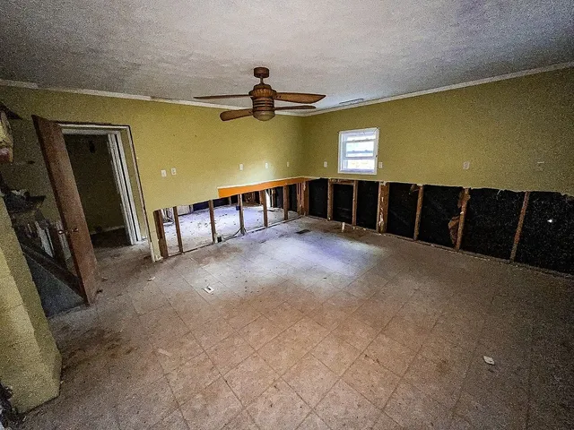 a view of a garden with plants and trees