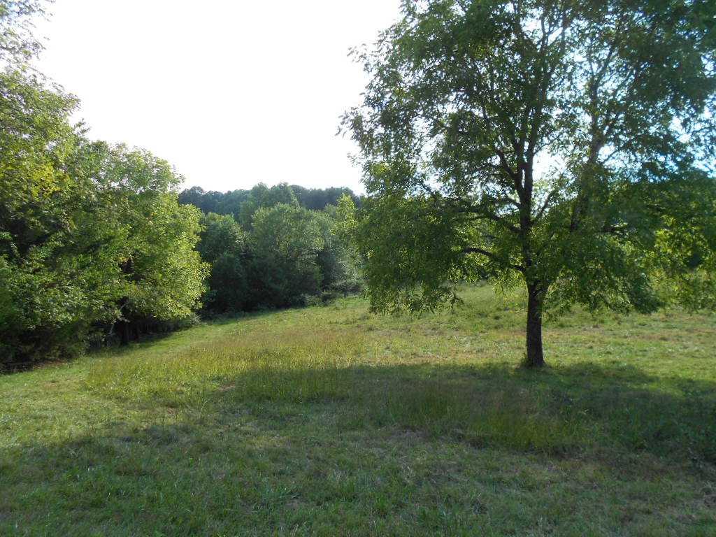 Orange Road Aroda, VA 22709 - Photo 2 of 4 a view of outdoor space with trees all around