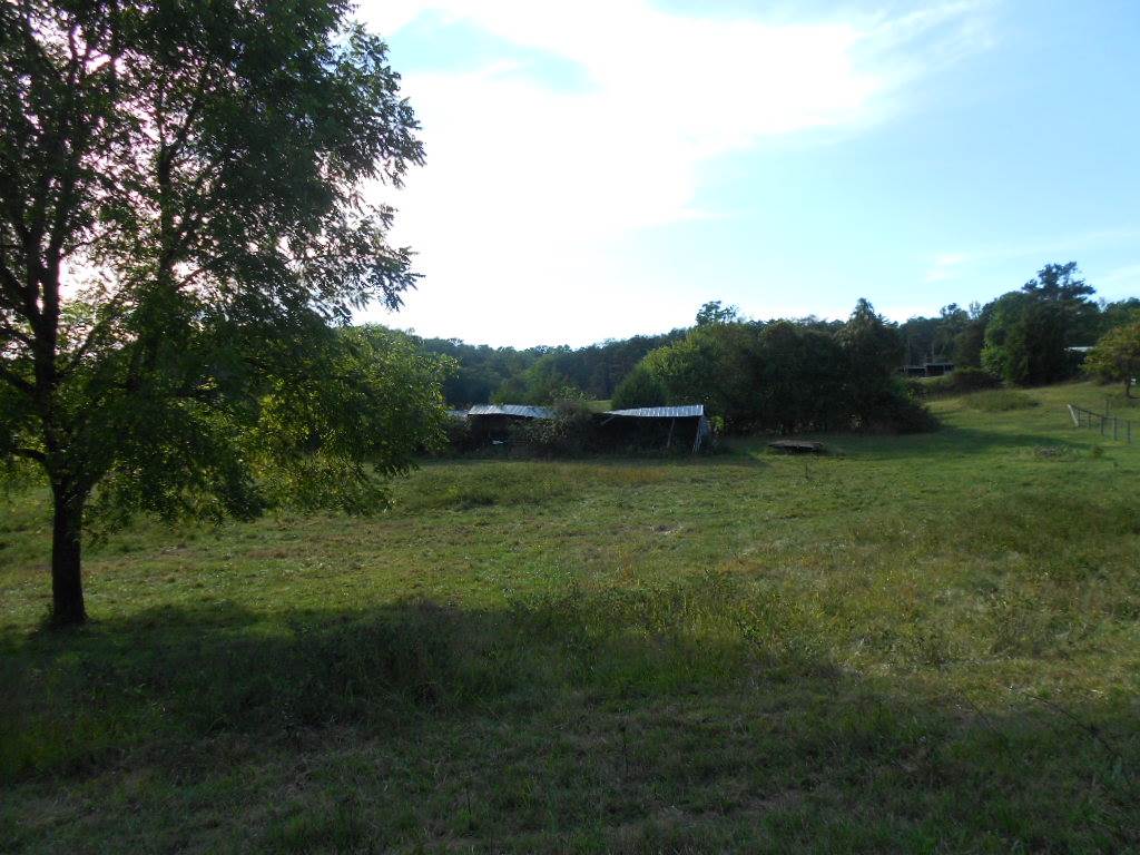 Orange Road Aroda, VA 22709 - Photo 3 of 4 a view of outdoor space and yard