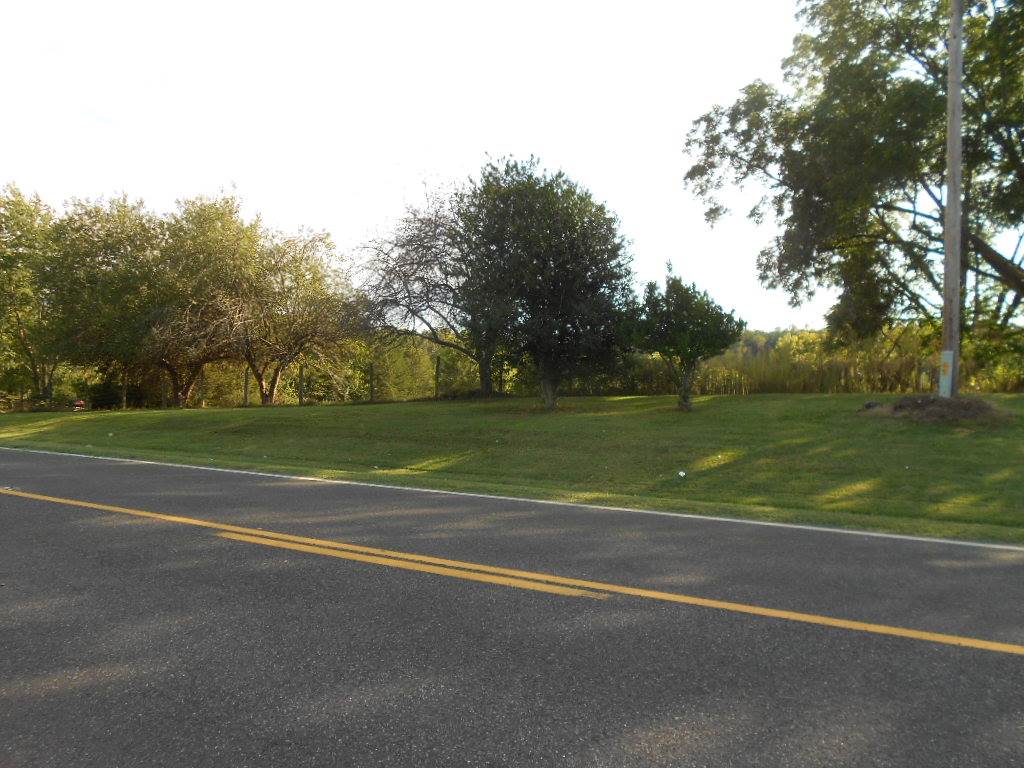 Orange Road Aroda, VA 22709 - Photo 4 of 4 a view of a field with a big trees