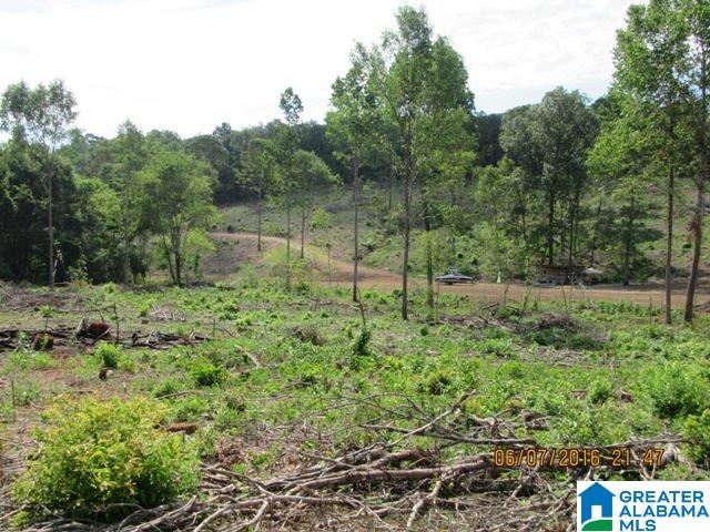 550 Davis Acres Drive, Unit 15 Alpine, AL 35014 - Photo 6 of 48