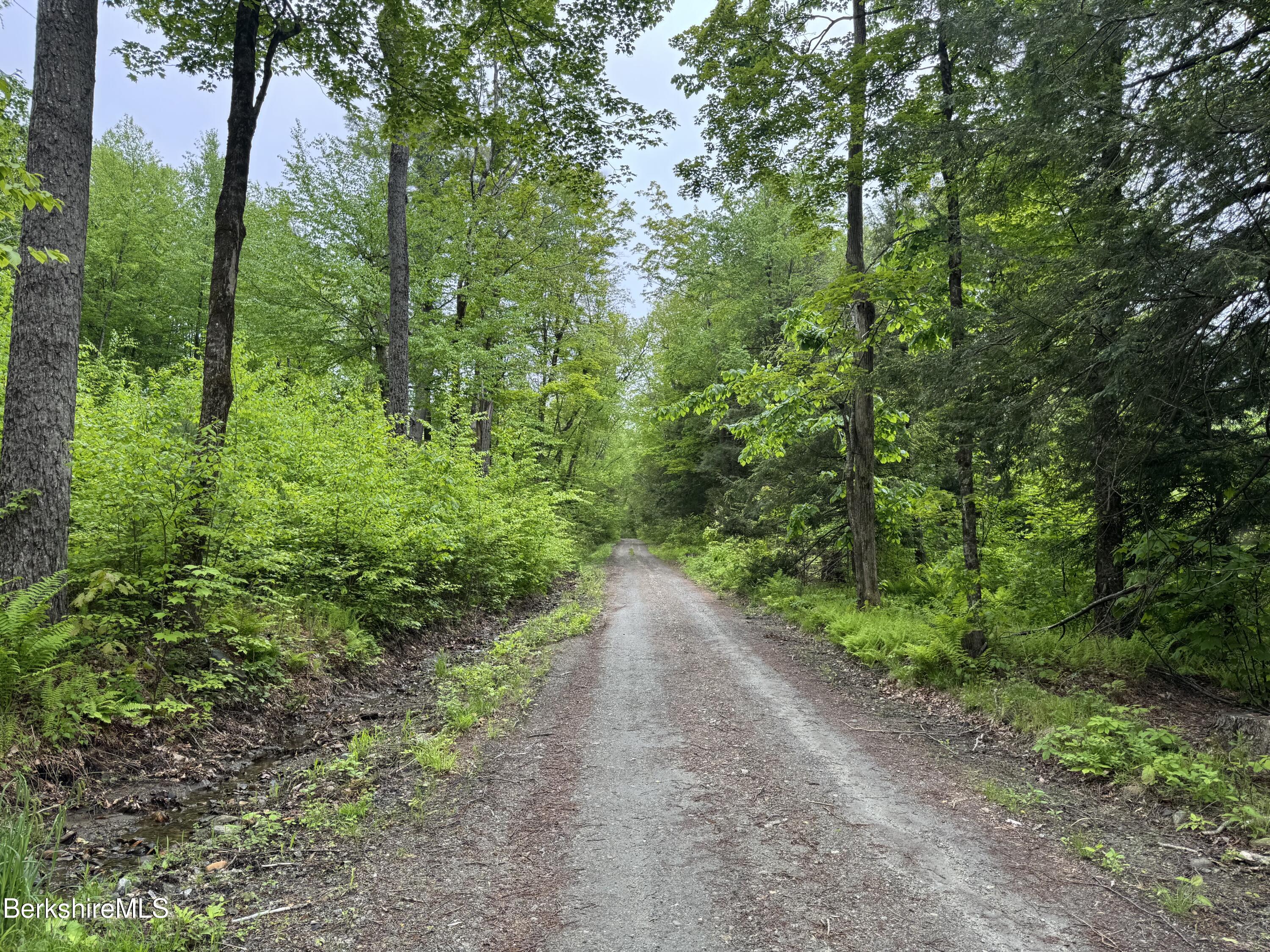 Lot ''b'' Beulah Land Road Blandford, MA 01008 - Photo 4 of 18 IMG_4575