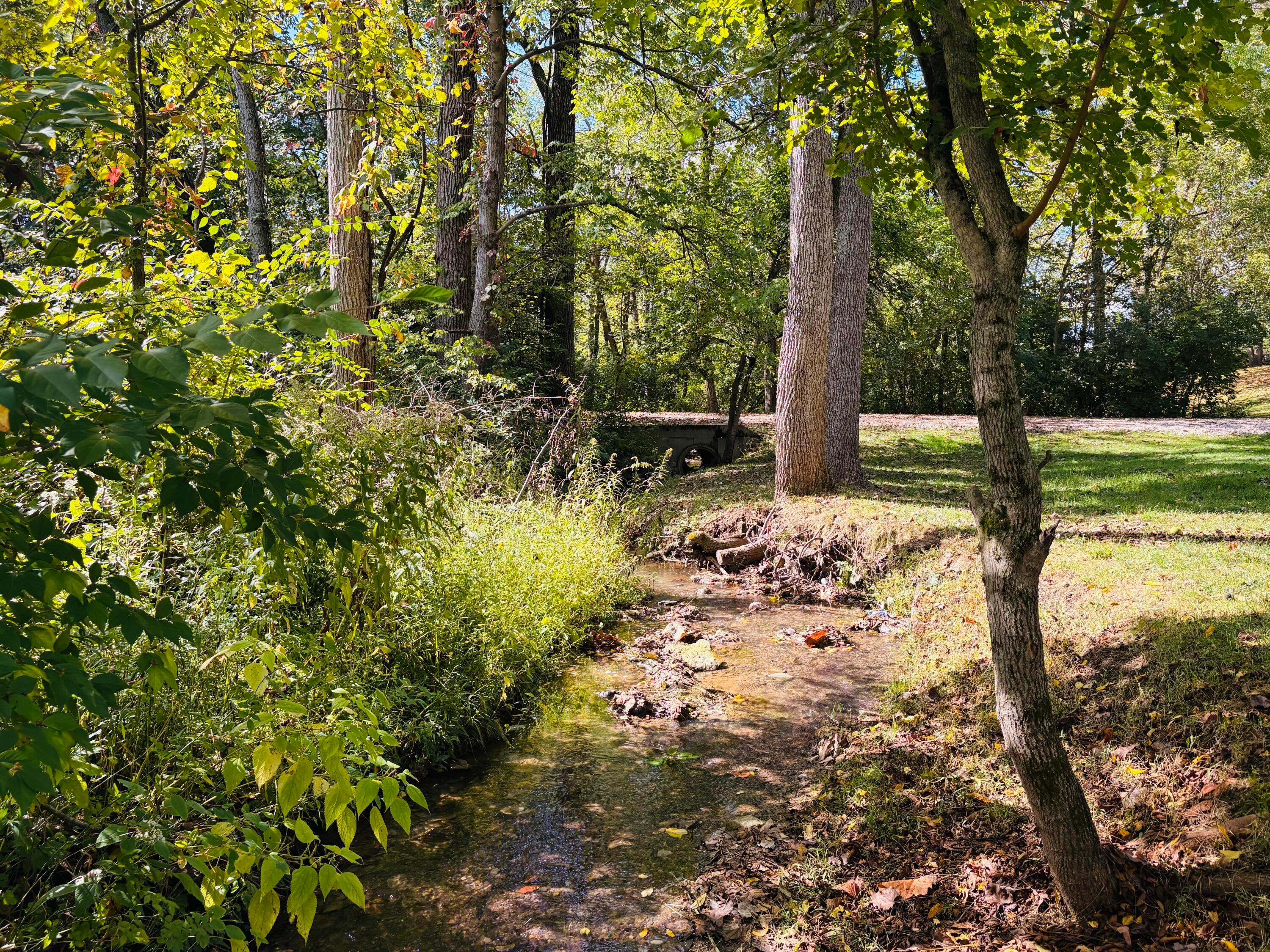 1190 Hyatts Road Delaware, OH 43015 - Photo 5 of 54 Creek