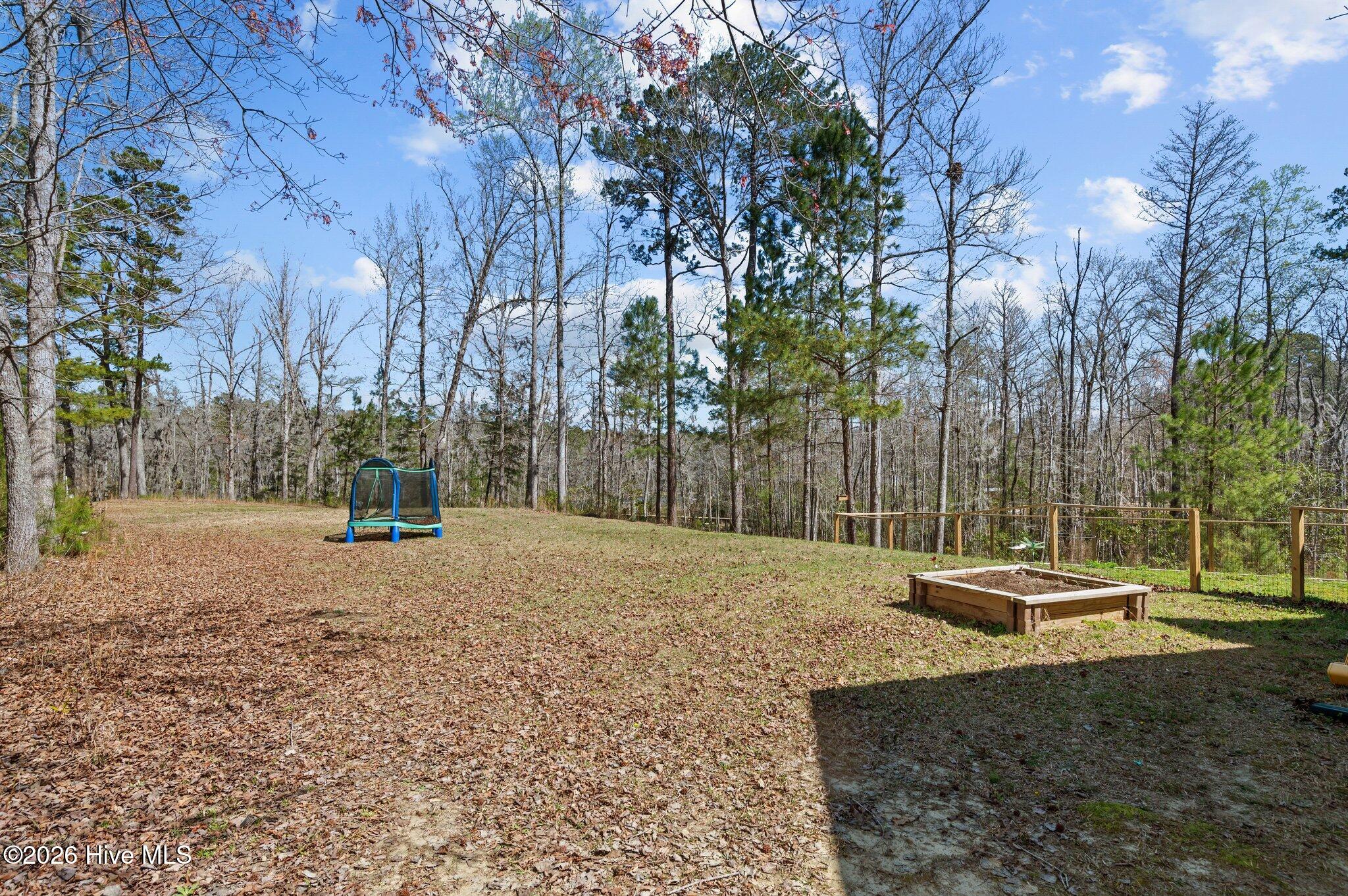 199 Yeats Creek Road Chocowinity, NC 27817 - Photo 13 of 46 Meadow between house and path to water.
