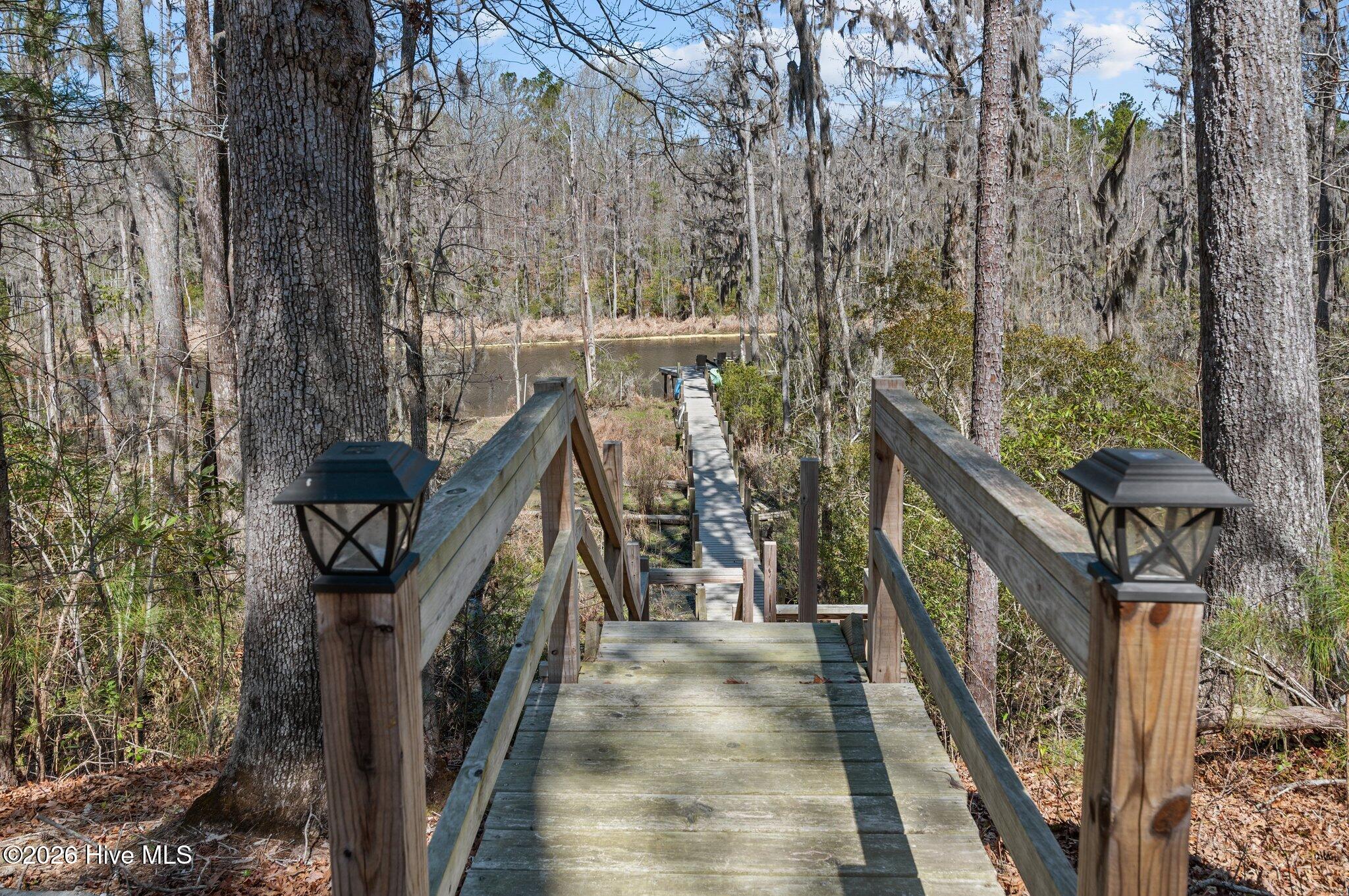 199 Yeats Creek Road Chocowinity, NC 27817 - Photo 15 of 46 Path to dock.