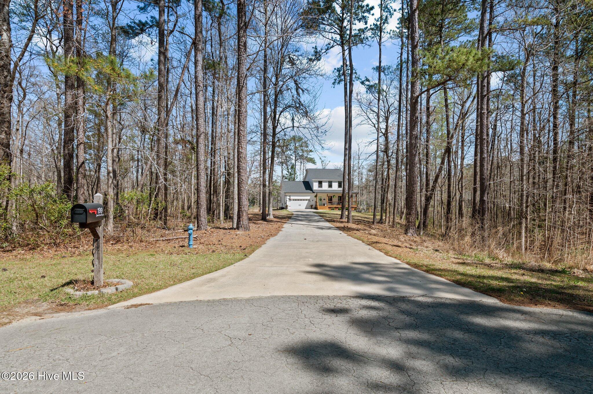 199 Yeats Creek Road Chocowinity, NC 27817 - Photo 19 of 46 Driveway to house.