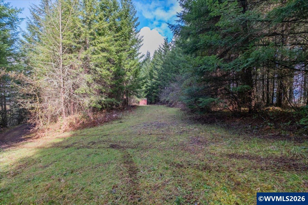 30920 Berlin Road Lebanon, OR 97355 - Photo 34 of 50 Gallery Image 34