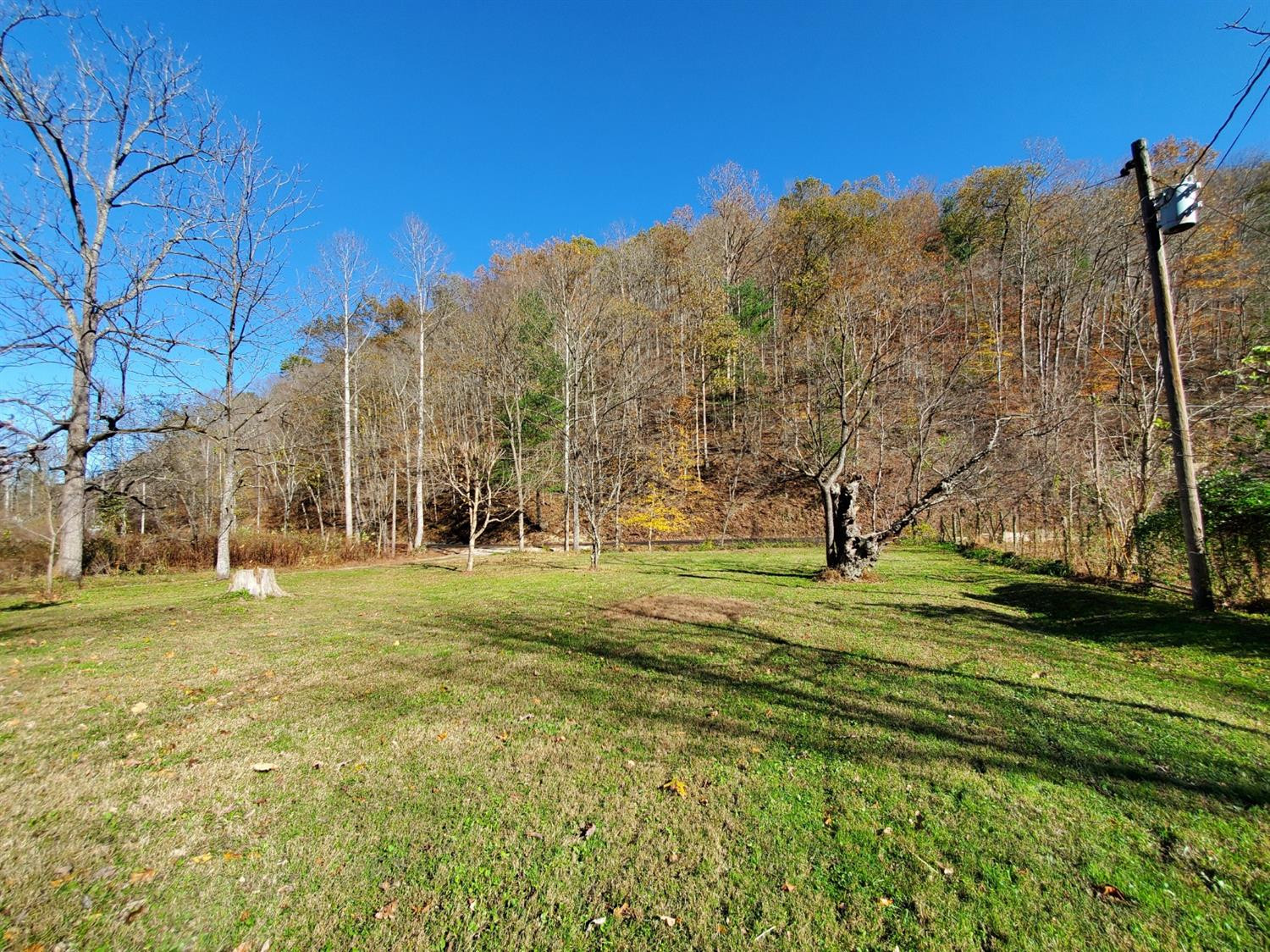 1893 South Mill Branch Road Clearfield, KY 40313 - Photo 9 of 32 Photo 9
