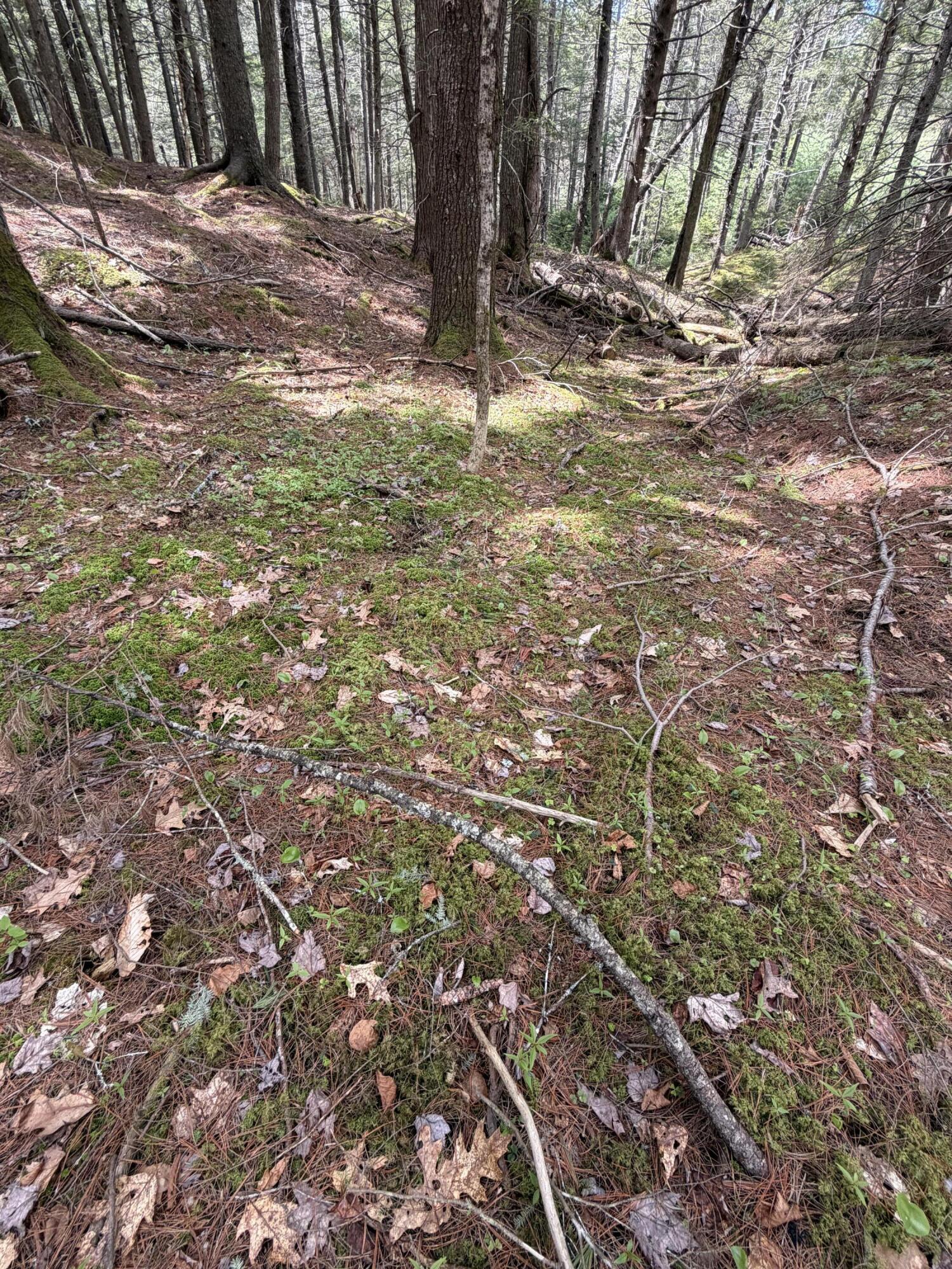 108 B Flying Point Road Freeport, ME 04032 - Photo 17 of 31 IMG_8696