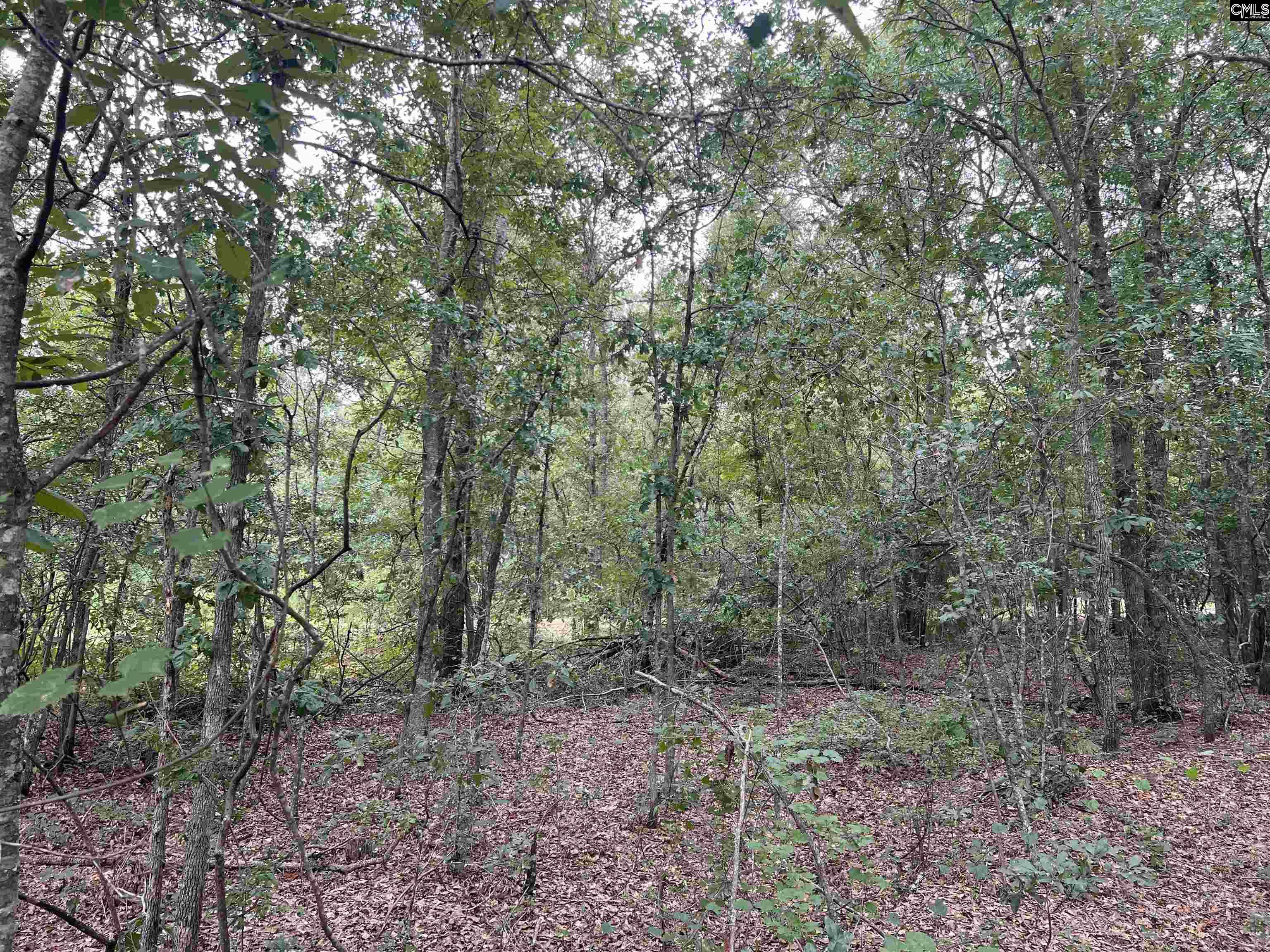 0 Cliff Road Pelion, SC 29123 - Photo 20 of 28