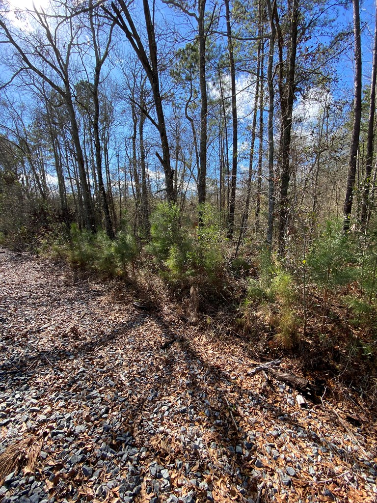 1035 Williams Road Barney, GA 31625 - Photo 11 of 21 Gallery Image 11