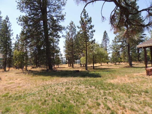 27032 Walker Road Fall River Mills, CA 96028 - Photo 12 of 13 View of acreage around home