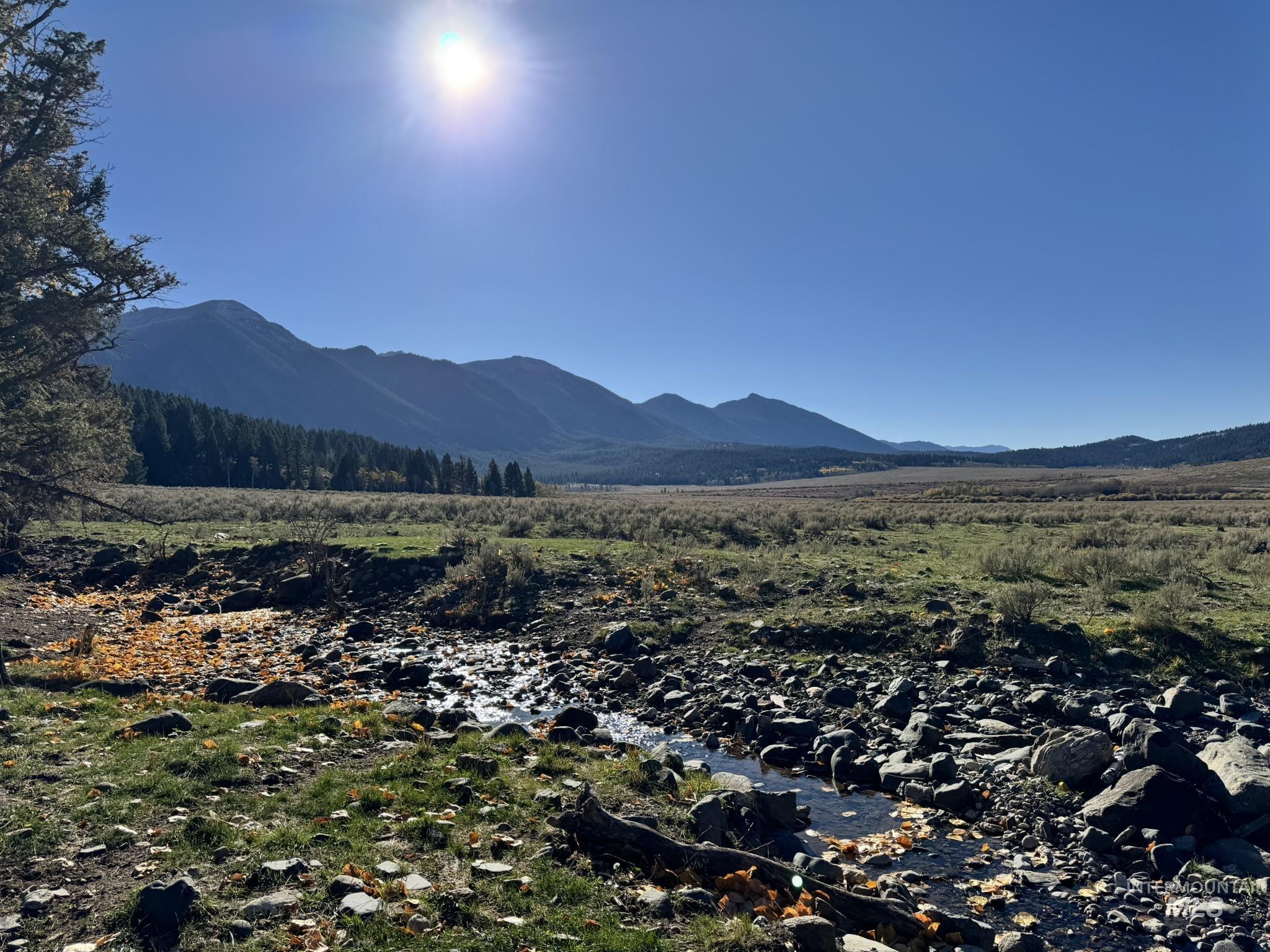 3600 Red Rock Pass Road Island Park, ID 83429 - Photo 21 of 44