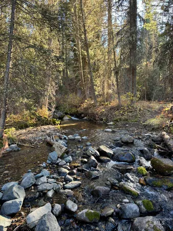 $9,750,000 | 3600 Red Rock Pass Road, Island Park, ID 83429
