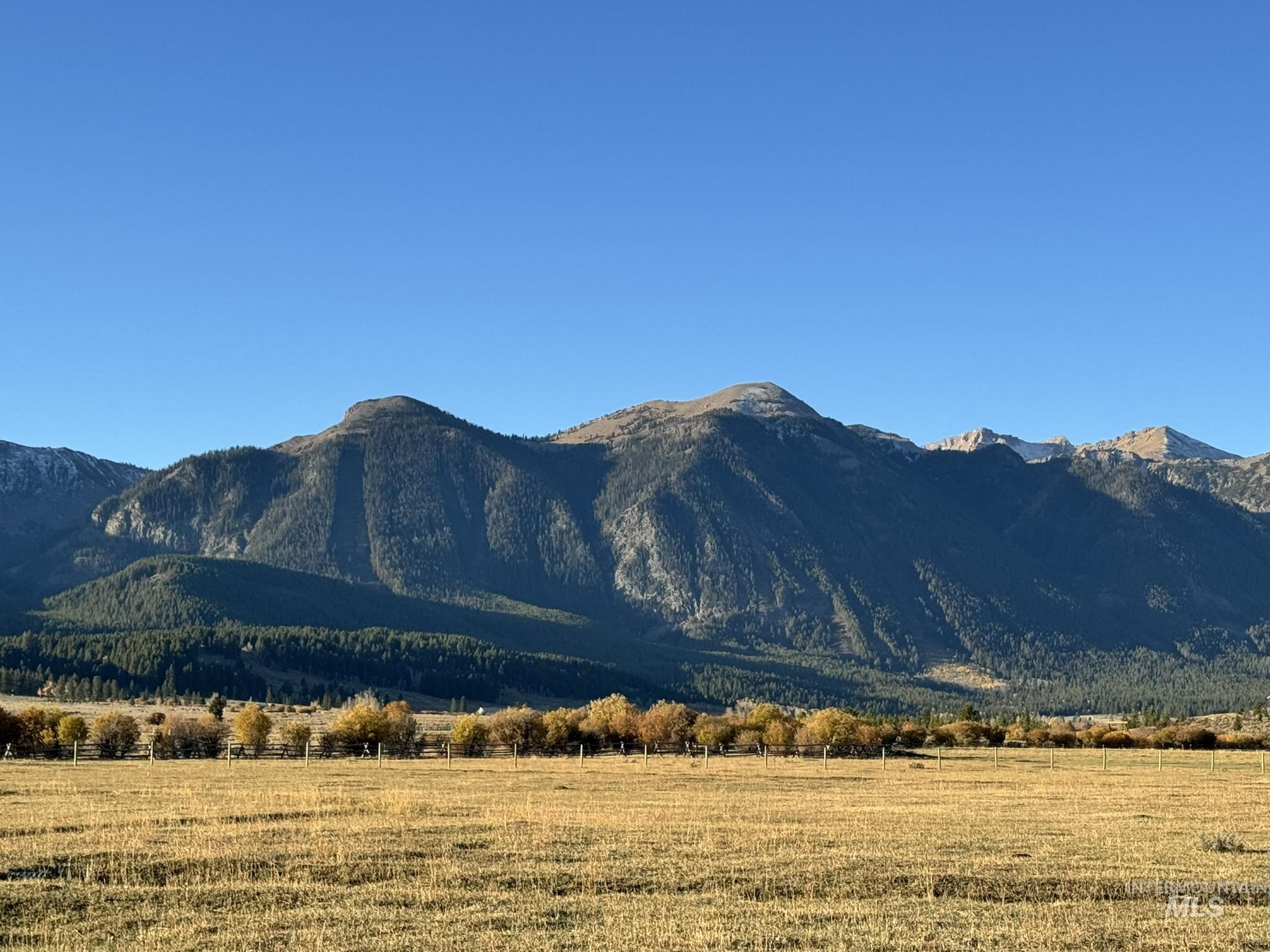 3600 Red Rock Pass Road Island Park, ID 83429 - Photo 28 of 44