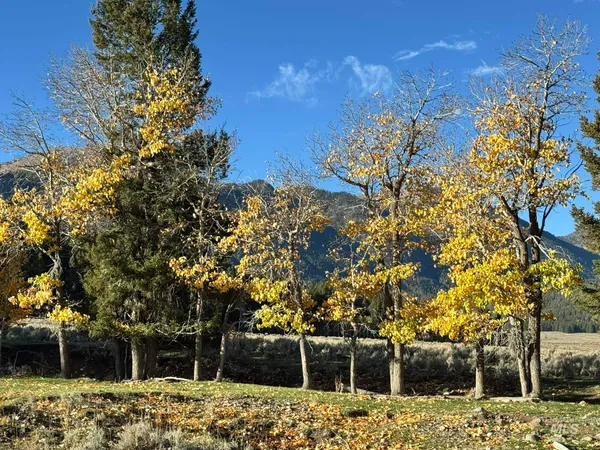 $9,750,000 | 3600 Red Rock Pass Road, Island Park, ID 83429