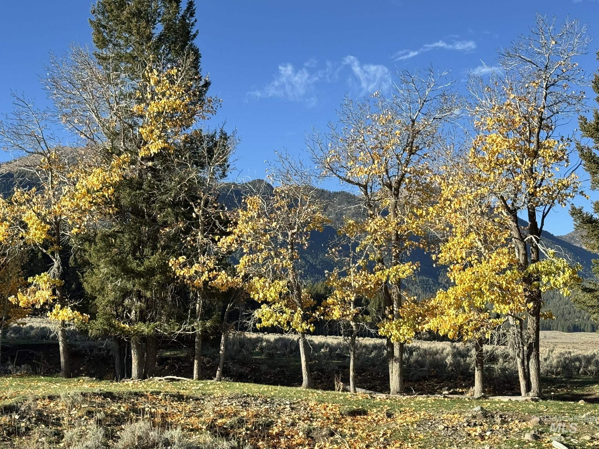 3600 Red Rock Pass Road Island Park, ID 83429 - Photo 30 of 44