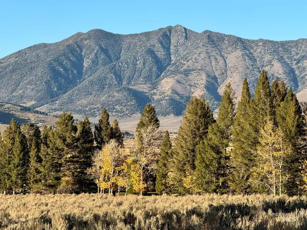 $9,750,000 | 3600 Red Rock Pass Road, Island Park, ID 83429