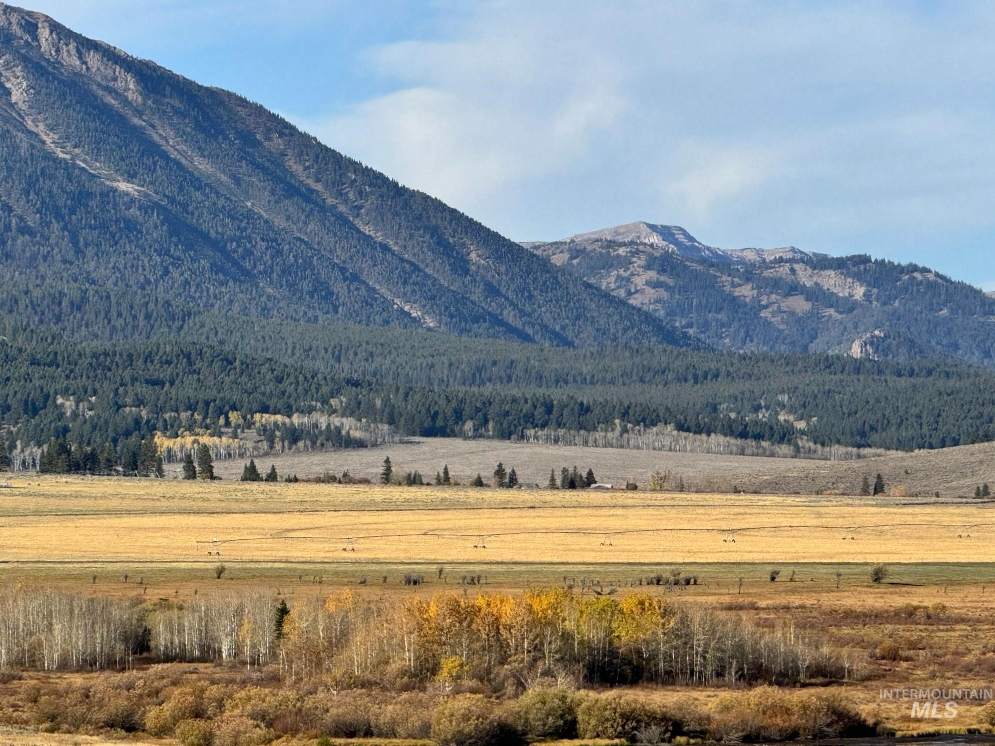 3600 Red Rock Pass Road Island Park, ID 83429 - Photo 31 of 44