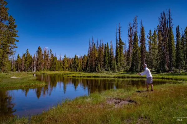 $9,750,000 | 3600 Red Rock Pass Road, Island Park, ID 83429