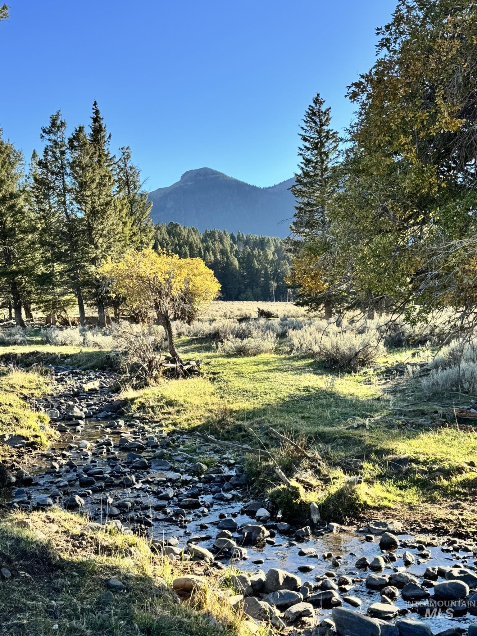 3600 Red Rock Pass Road Island Park, ID 83429 - Photo 5 of 44