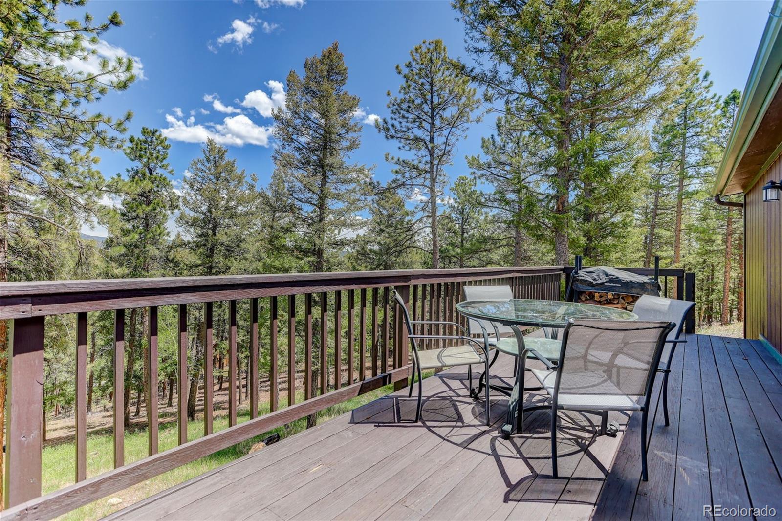 539 South Random Road Bailey, CO 80421 - Photo 34 of 46