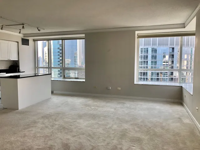 $3,700 | 512 North McClurg Court, Unit 4410, Chicago, IL 60611