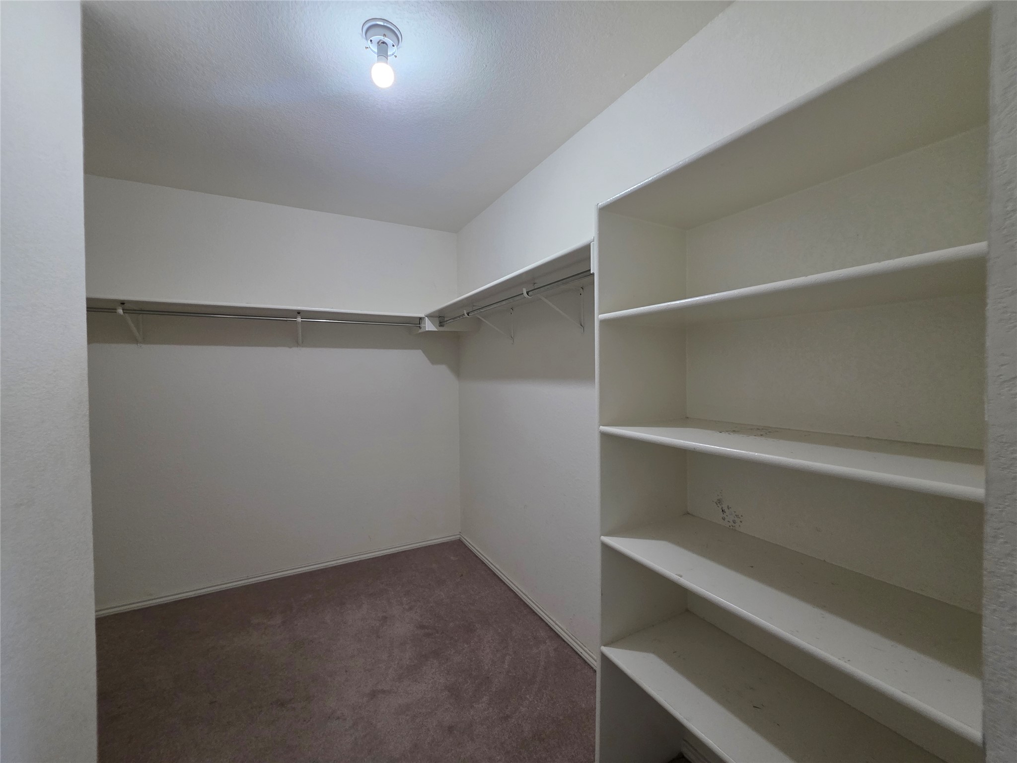189 Ruidoso Road Kyle, TX 78640 - Photo 22 of 31 An organized closet offers generous shelving and hanging space for effortless storage.