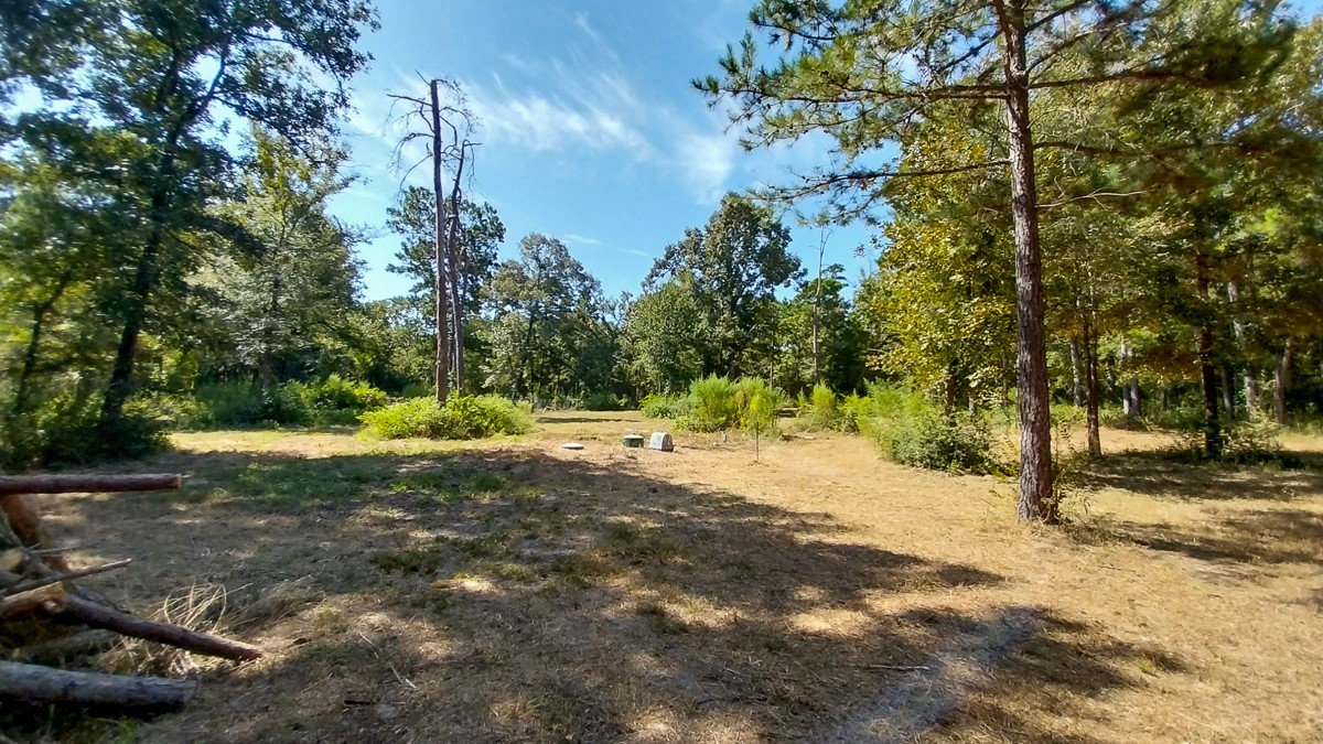 134 Cedar Ridge Huntsville, TX 77320 - Photo 18 of 24 Gallery Image 18