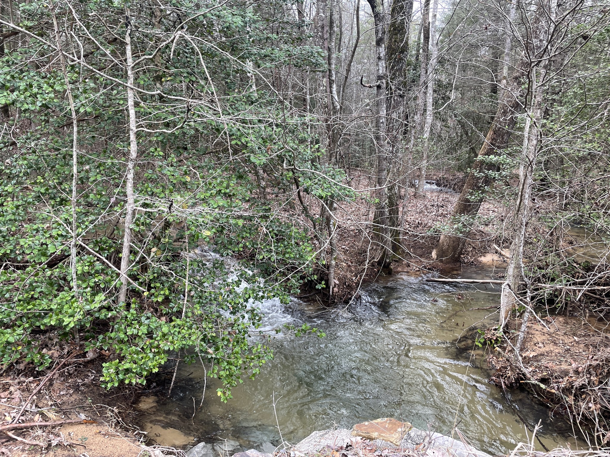 0 Shell Road Dunlap, TN 37327 - Photo 1 of 8 Gallery Image 1