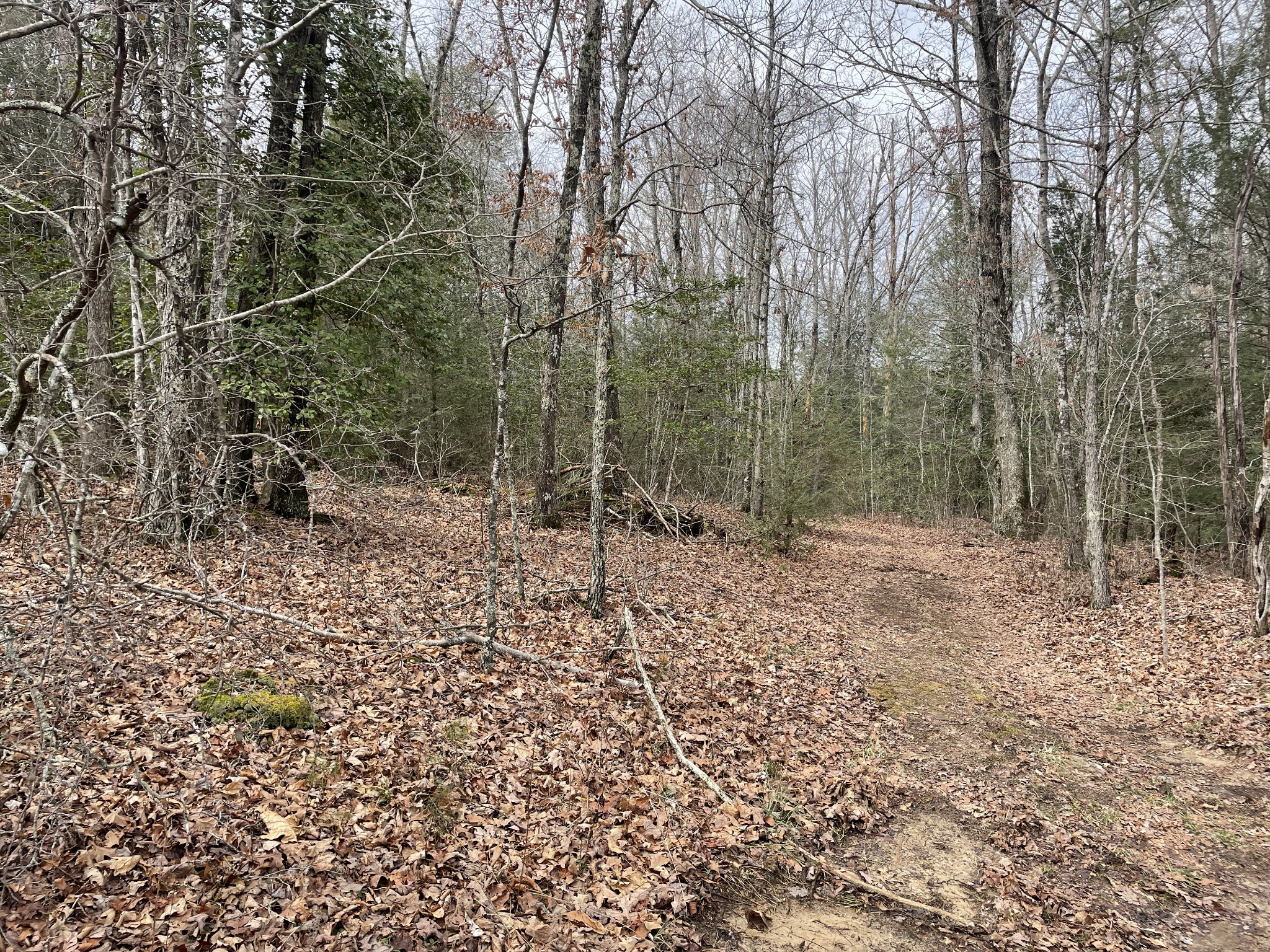 0 Shell Road Dunlap, TN 37327 - Photo 2 of 8 Gallery Image 2